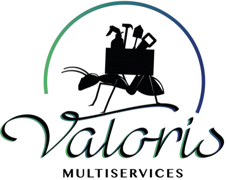 Logo Valoris multiservices