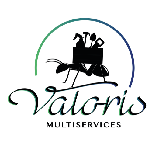 Logo Valoris multiservices