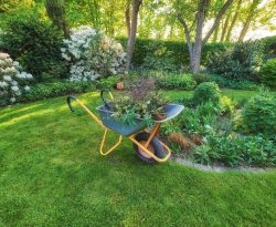 Wheelbarrow on a perfect green lawn in a cultivated country gard Wheelbarrow on a perfect green lawn in a cultivated country garden used for garden work. Professional gardening service or contracted gardener maintaining a lush backyard and planting seasonal shrubs.