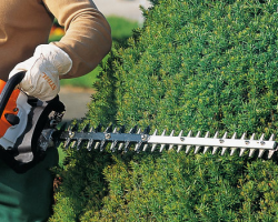 Entreprise jardin taille de haie Ille et Vilaine 35