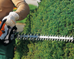 Entreprise jardin taille de haie Ille et Vilaine 35 Entreprise jardin taille de haie Ille et Vilaine 35