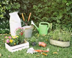 inventaire-jardinage-pots-fleurs-herbe entreprise entretien complet du jardin 35 Ille et Vilaine